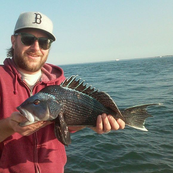 Meet your Posher, Jeff - Picture 1 of 1